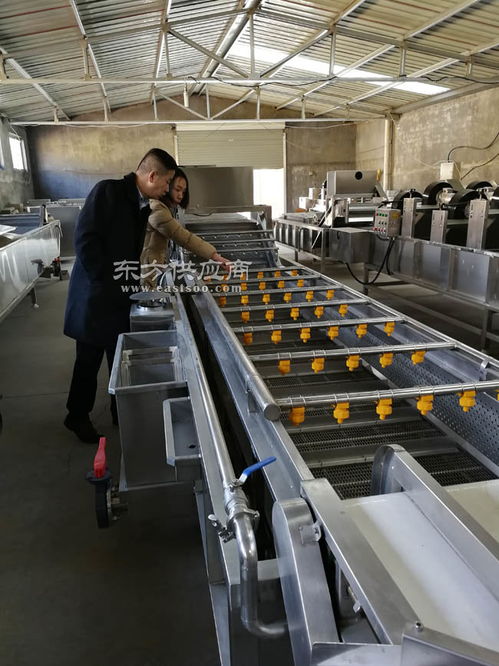 番茄網帶清洗機多少錢 諸城利特食品機械公司 番茄網帶清洗機圖片