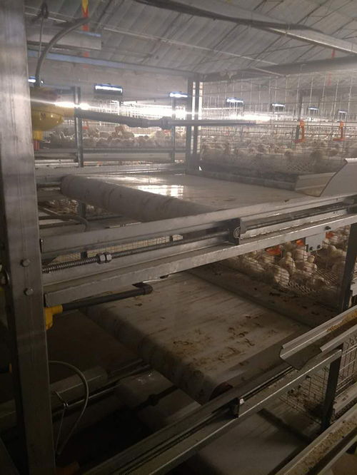運盈機械生產(chǎn)廠家 圖 肉雞籠量尺定做 肉雞籠